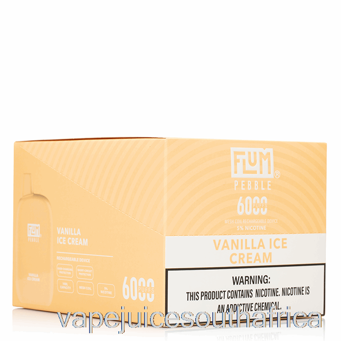 Vape Juice South Africa [10-Pack] Flum Pebble 6000 Disposable